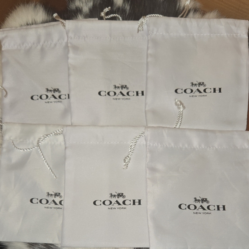 Coach White Drawstring Dust Bags (9)